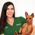 teeth cleaning dogs los angeles